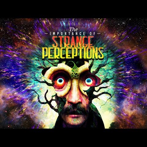 The Importance of Strange Perceptions